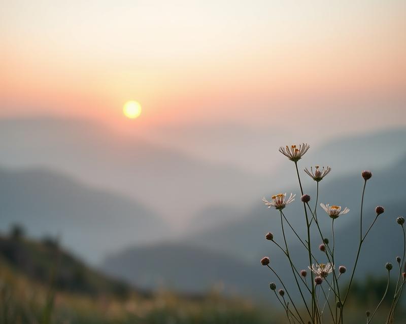 Nerwica lękowa – objawy, przyczyny i skuteczne metody leczenia